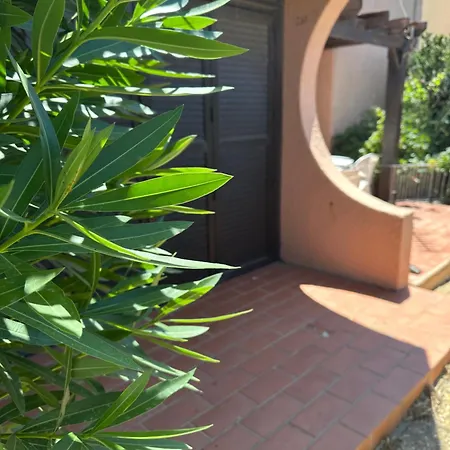 Le Petit Paradis * Лёкат